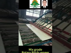 ローータリーベリーチフラニーの全サイズ 厚さ0.5mm サイズ 2600*1300mm ミックスグレード