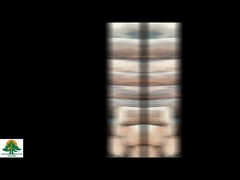 天然木製ベニア