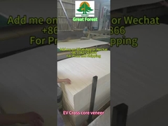 大森 - EV CROSS CORE VENEER