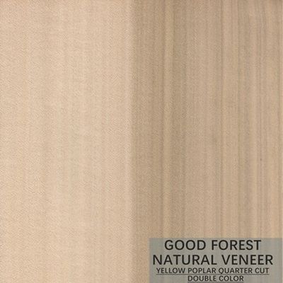 Mappaのチューリップの自然な木製のベニヤのBoxwoodの優秀な二重色