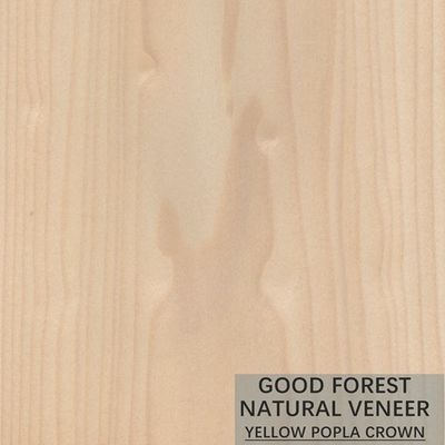 Mappaのチューリップの自然な木製のベニヤのBoxwoodの優秀な二重色