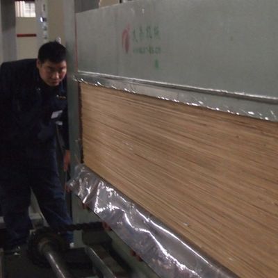 家具の人は白い杏子H06C 0.15-0.6mmが羊を刈った木ベニヤの王冠の穀物を作った