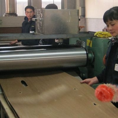 組み直されたアメリカトネリコ木ベニヤは豪華な合板のためのWa-X206四分の一の切口を広げる