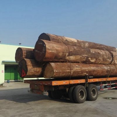 キャビネットの空想によって組み直されたスレート木ベニヤのクルミX937のFineline穀物は中国の製造業者Isoからのサイズ3100mmを延ばした