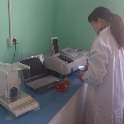 新デザインのリコン 木材フェニエール ウェンゲ WSW-L6761N 内部のドア面のために 0.15-0.55mm 厚さ調整可能