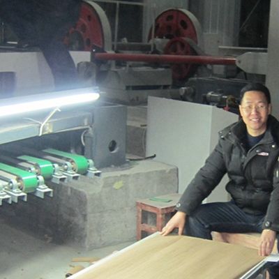 華麗な木材フェニール 中国製 人工製 長さ3100mm 装飾用にカスタマイズできます 中国製