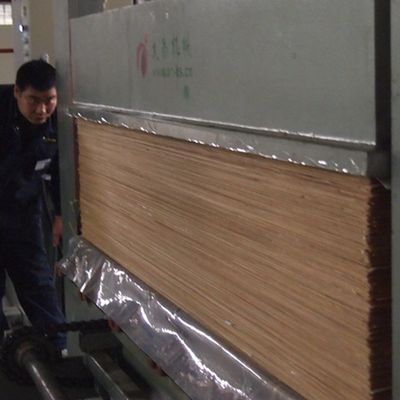 不規則な質感はホテルの装飾 2500*640mm の標準サイズのための Decowood のベニヤを設計しました