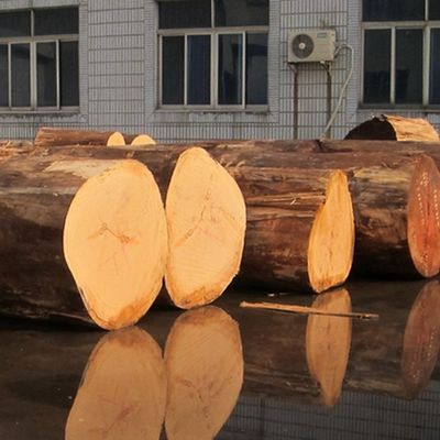 人工製 ブラックパール 木材 フェニエ 2850mm ホテルの装飾用の長縮サイズ BP-X0103 カスタマイズ可能