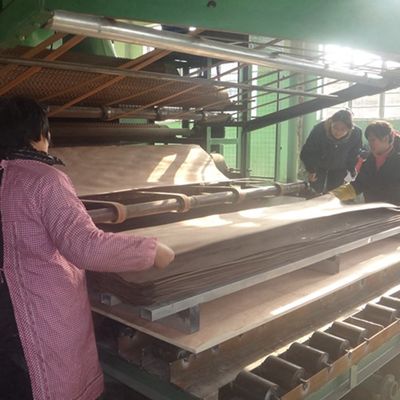 装飾によって延ばされているサイズ3100mmのための設計されたスレート木ベニヤのクルミH8536のまっすぐなFineline穀物ダーク グレー色