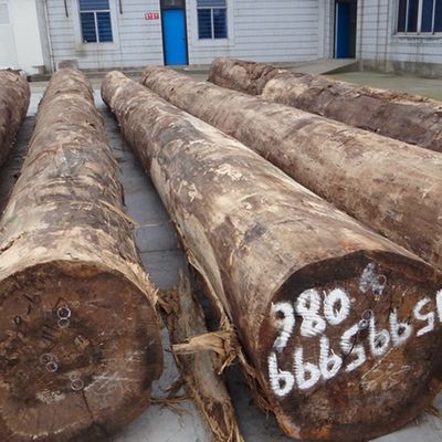 トップA 工芸木材フェニール 天然ナッツクォータークラウン穀物 2030/2500/2800/3050mm 長さ WT-X873N