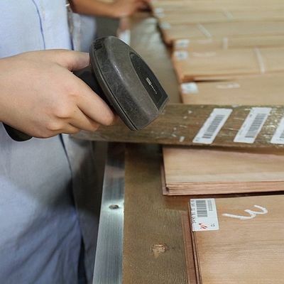 FSCの自然なアメリカトネリコの節玉のベニヤ螺線形パターン穀物ホテルの装飾の厚さ0.5-0.55mmのための等級