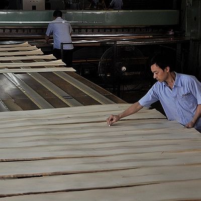 アメリカンホワイトオーク固木シート シースストレート ファンシーパネル用 染色フェニヤ 0.45mm厚さ