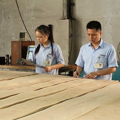 アメリカの自然なかえで木は家具および楽器のためのBirdseyeのかえでの厚さ0.5mmの良質に張り合わせる