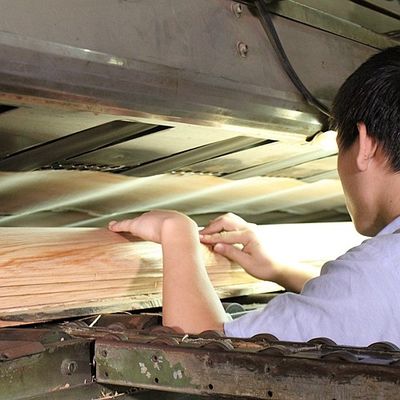 0.5mmの厚さの車の内部および楽器のための自然なTamoの灰のベニヤ