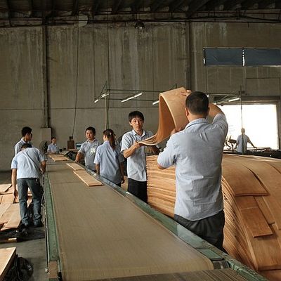自然な計算されたプラタナス木が平らな切られた王冠に張り合わせるヨーロッパは死ぬことおよびキャビネットのための厚さ0.5mmを切った