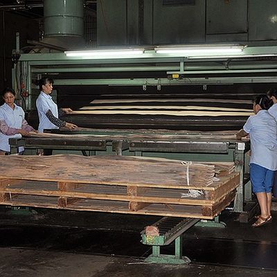 二重色のアメリカの自然なポプラ木は豪華な合板のための平らな切られた王冠に張り合わせる