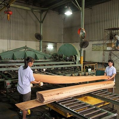 ホテルのホテルの装飾の中国の卸売のためののための自然なアメリカトネリコのベニヤ木節玉の穀物の厚さ0.55mmのよい価格