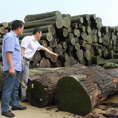 木が平らな切られた王冠に張り合わせるアメリカの自然なかえでは家具および楽器のための厚さ0.5mmの良質を切った