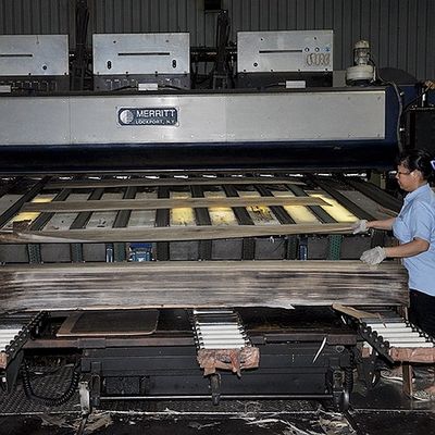 西アフリカの自然なシマウマ木ベニヤのZebranoの四分の一は内部の中国が作る車のために良質まさ目を切った
