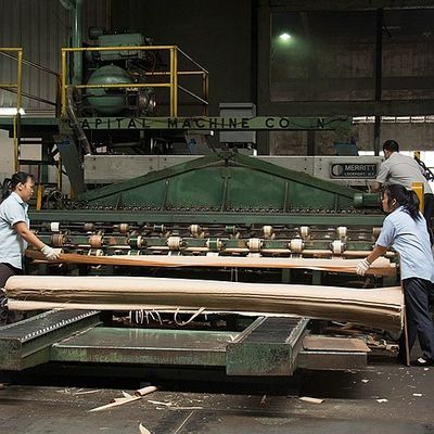 自然な計算されたプラタナス木が平らな切られた王冠に張り合わせるヨーロッパは死ぬことおよびキャビネットのための厚さ0.5mmを切った