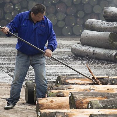 アフリカの自然な琴木ベニヤの四分の一は染まるプロセスのための良質がカスタマイズすることができるまさ目を切った