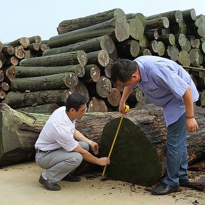 アメリカの自然なクルミ木ベニヤの四分の一はFsc中国の製造業者を作る一流の家具のために計算されたまっすぐ切った