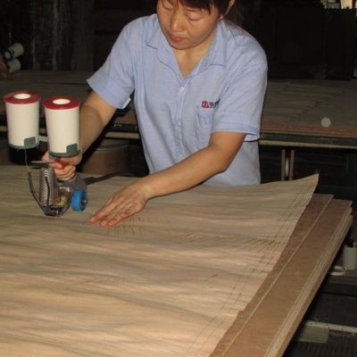 屋内装飾的な標準サイズ 2440/2745mm のための通常の豪華な合板ボード