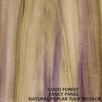 豪華な二色の家具のパネルのためのチューリップ合板によって基づくMDF/Chipboard/削片板