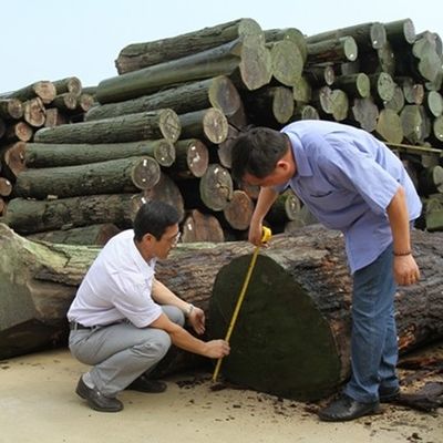 シルバーペアスライス切断技術 1280mm直角粒の幅 ドアの皮膚のためのスプライシング