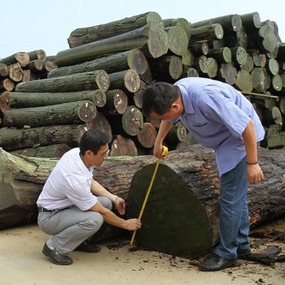 カービネット面のための2*8インチ新デザインの人工セダー木ファニヤ FCW-L146N/L246Cスライスカット技術