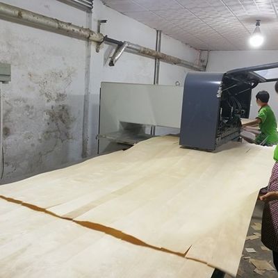 高級リコン 木材 フェニエール 天然ナッツ Wt-X873n 2850mm 長さ ドア装飾用シート 中国工場