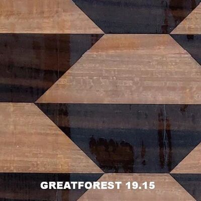 芸術的なパルケット 木材ファニヤ 幾何学的な美学的な感覚 人気幾何学的な数字 0.50mm 厚さ 木製のドア