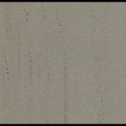 延性PPのミスティー・レインの穀物が付いている装飾的なフィルムの基質の表面